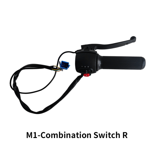M1-Combination Switch R