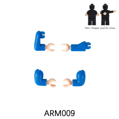 ARM009