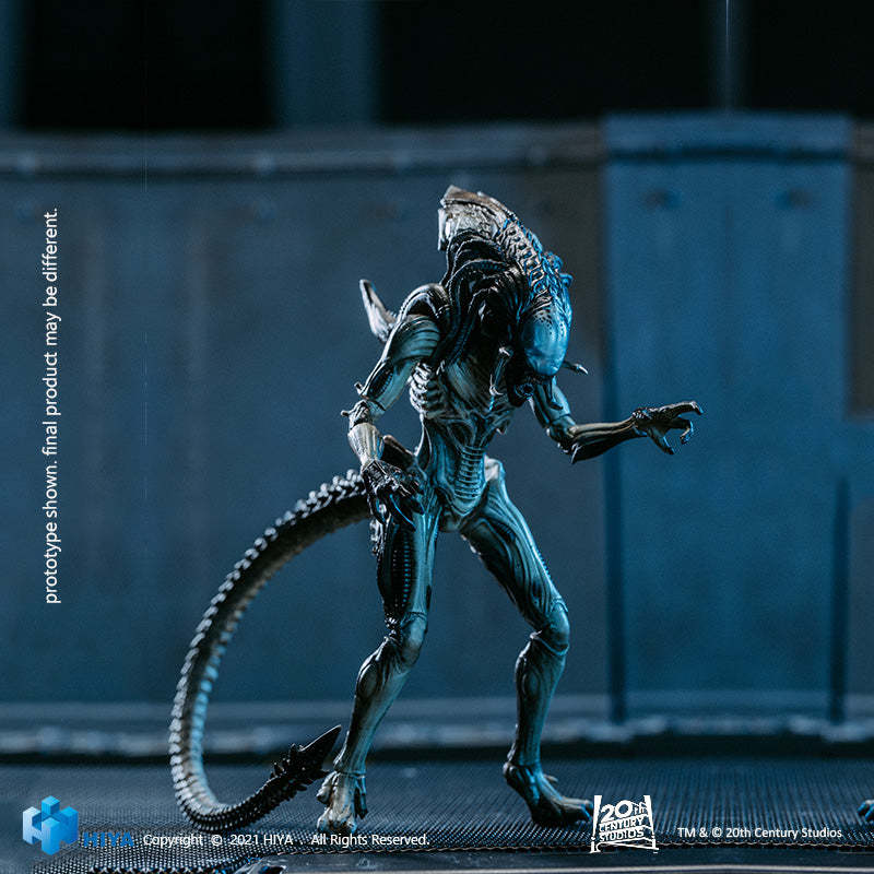 HIYA Exquisite Mini Series AVPR Predalien