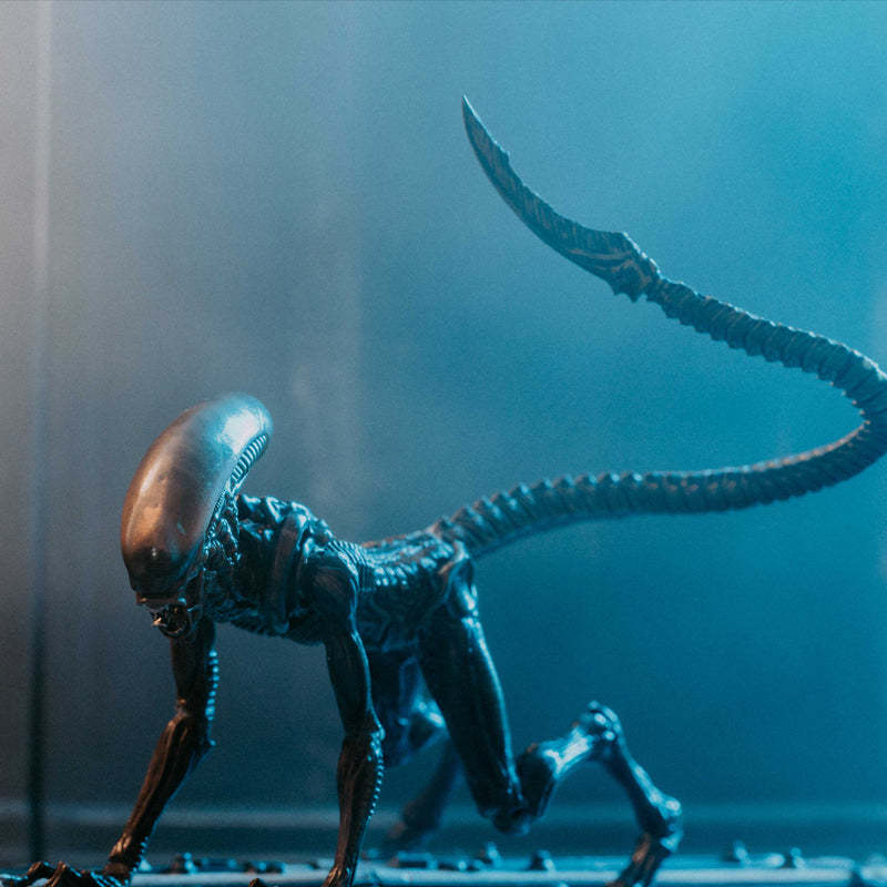 HIYA Exquisite Mini Series ALIEN³ Dog Alien Look Up