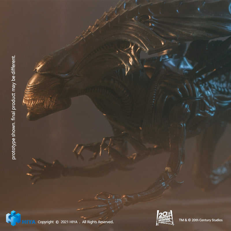 Exquisite Alien HIYA Exquisite Mini Series AVP Alien Queen