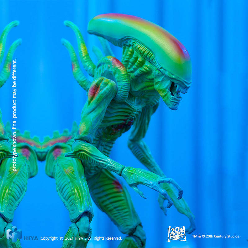 HIYA Exquisite Mini Series  AVP Thermal Vision Alien Warrior