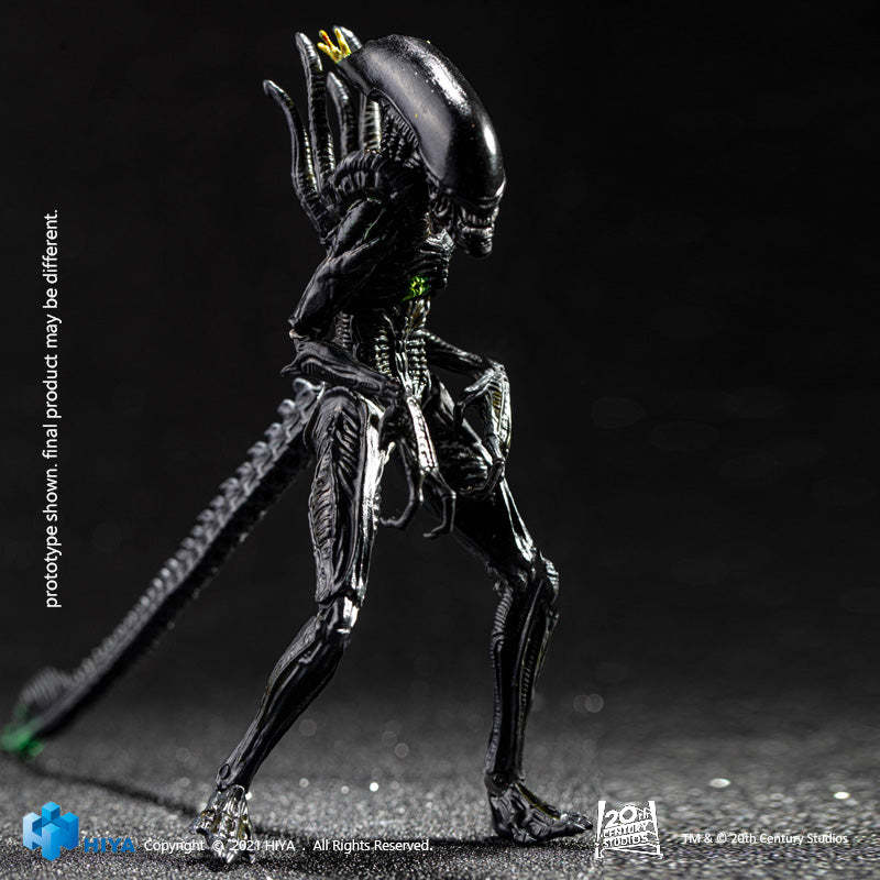 HIYA Exquisite Mini Series   AVP Blowout Alien Warrior