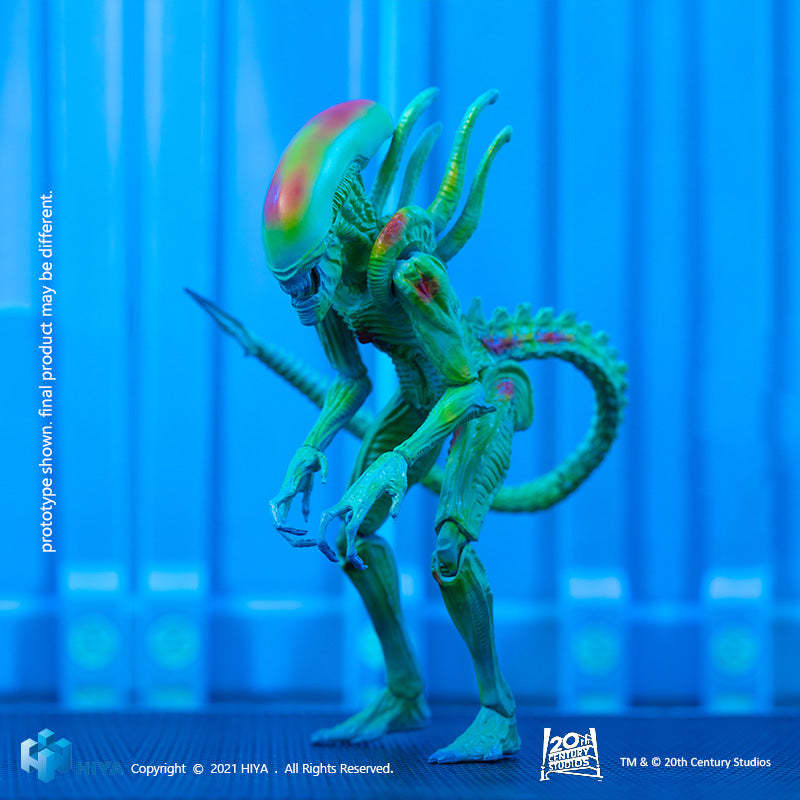 HIYA Exquisite Mini Series  AVP Thermal Vision Alien Warrior