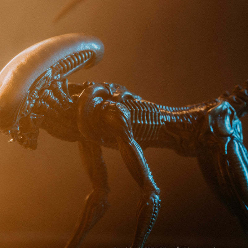 HIYA Exquisite Mini Series ALIEN³ Dog Alien Look Up