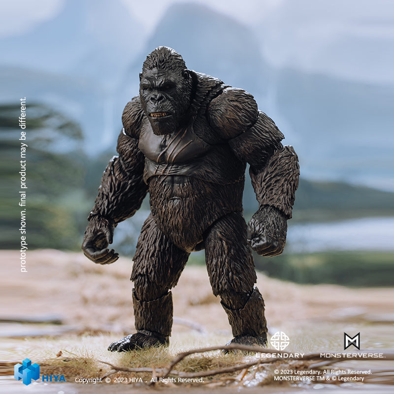 Kong toys on sale best sale