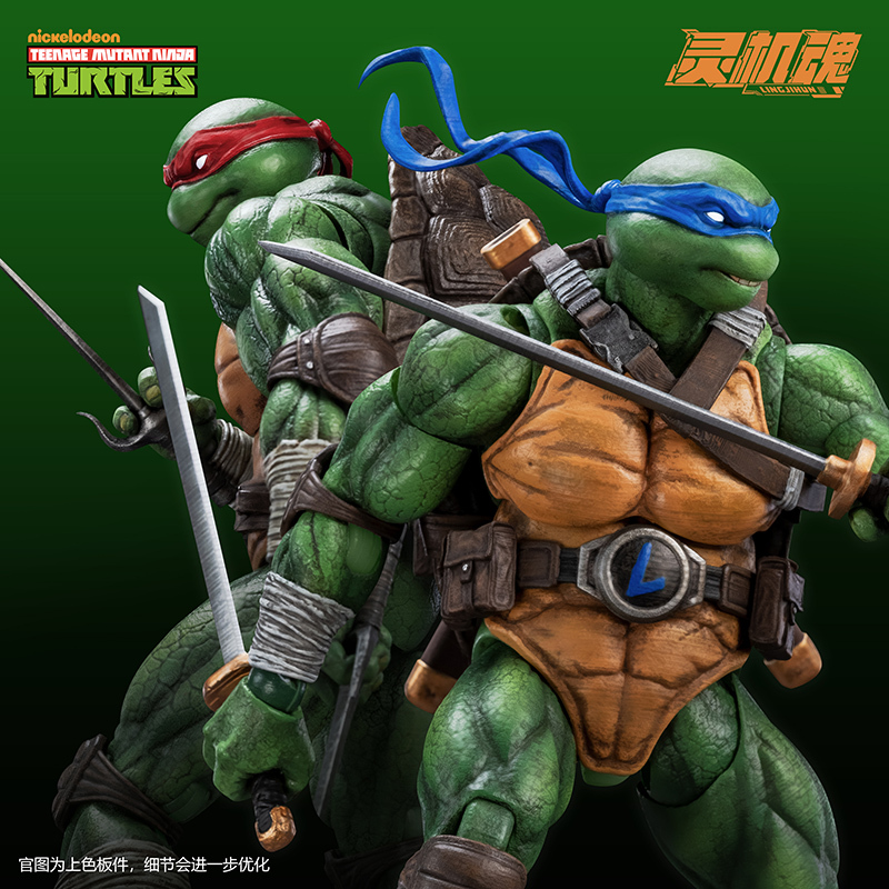 Teenage Mutant Ninja Turtles Action Figure