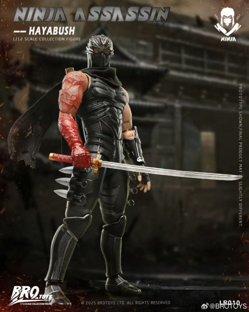 Brotoys LR010 Ninja Gaiden Ryu Hayabusa Ninja Assassin Hayabusa