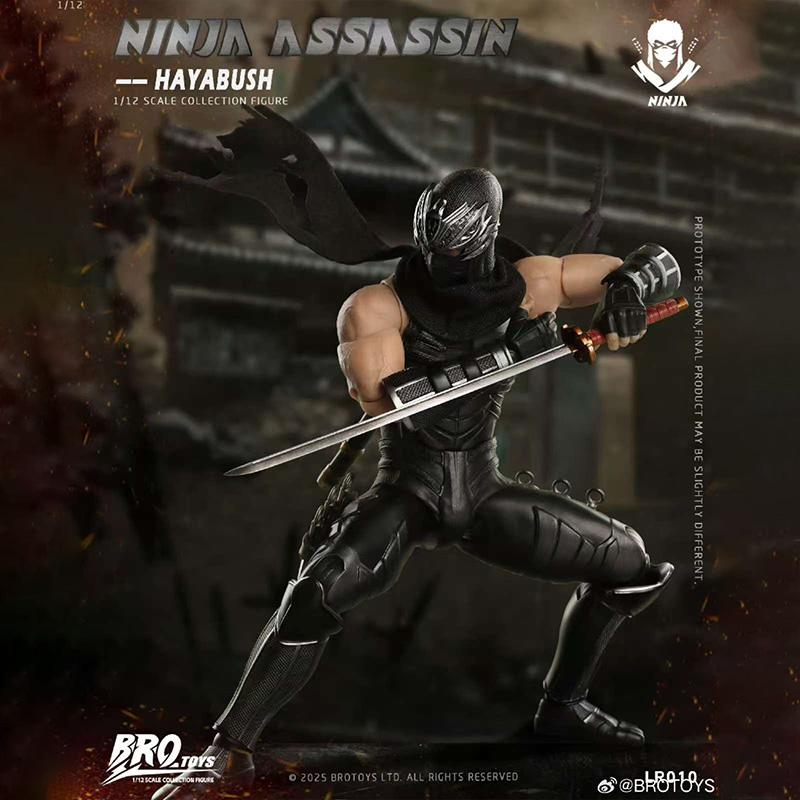 Brotoys LR010 Ninja Gaiden Ryu Hayabusa Ninja Assassin Hayabusa