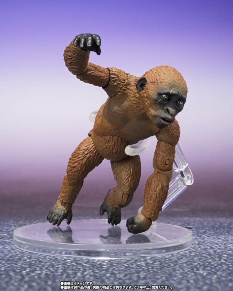 [In stock] Bandai Godzilla x Kong: The New Empire S.H.MonsterArts Suko & Mothra