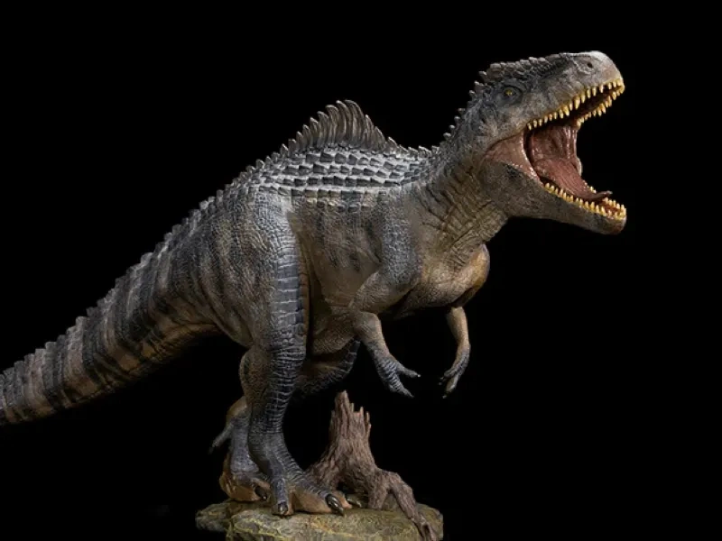 [In stock] Nanmu Studio Jurassic Series Giganotosaurus The King of the Border Deluxe
