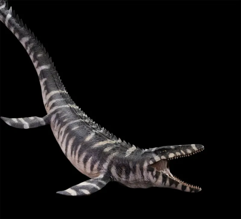 [In stock] Nanmu Studio Jurassic Series Lord of Abyss 2.0 Full Mosasaurus Leviathan Ver. Deluxe