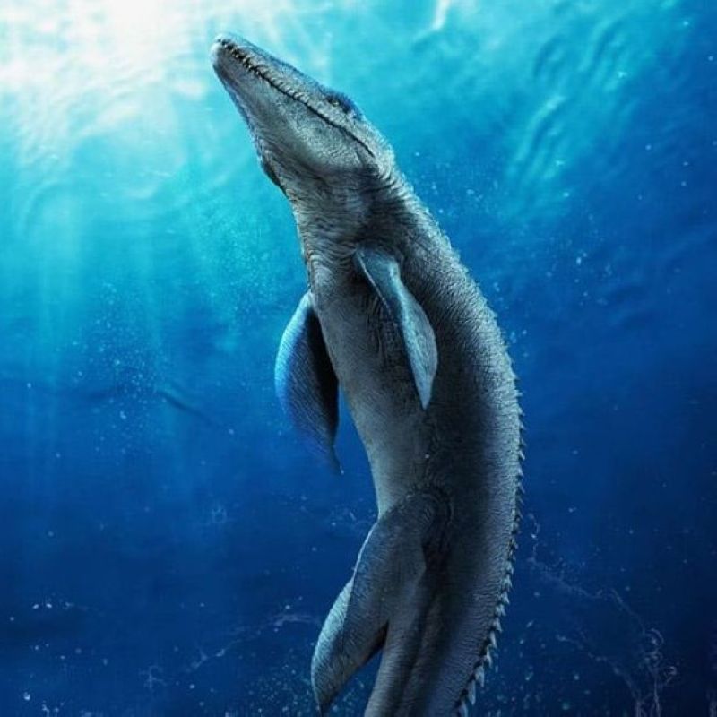 [In stock] Nanmu Studio Jurassic Series Mosasaurus Lord of Abyss 2.0 Lord of the Abyss