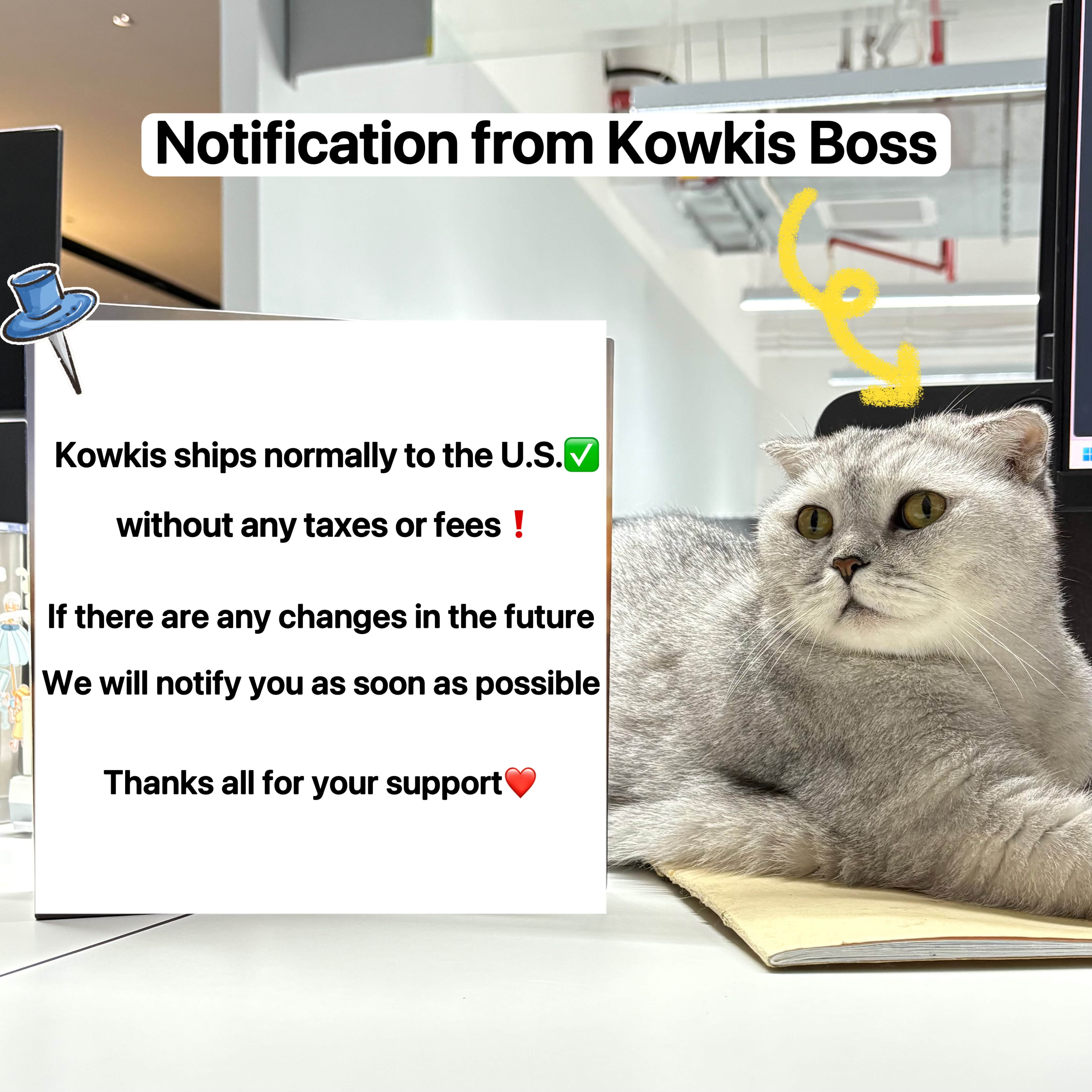 Premium Collectible Figure