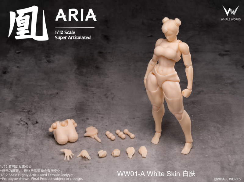 [Pre-sale] WHALE WORKS WW01  ARIA Female Body White Skin