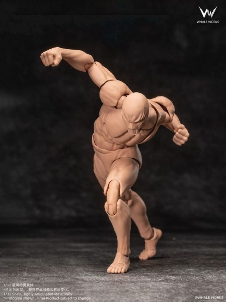 [Pre-sale] WHALE WORKS Super-Poseable Male Body