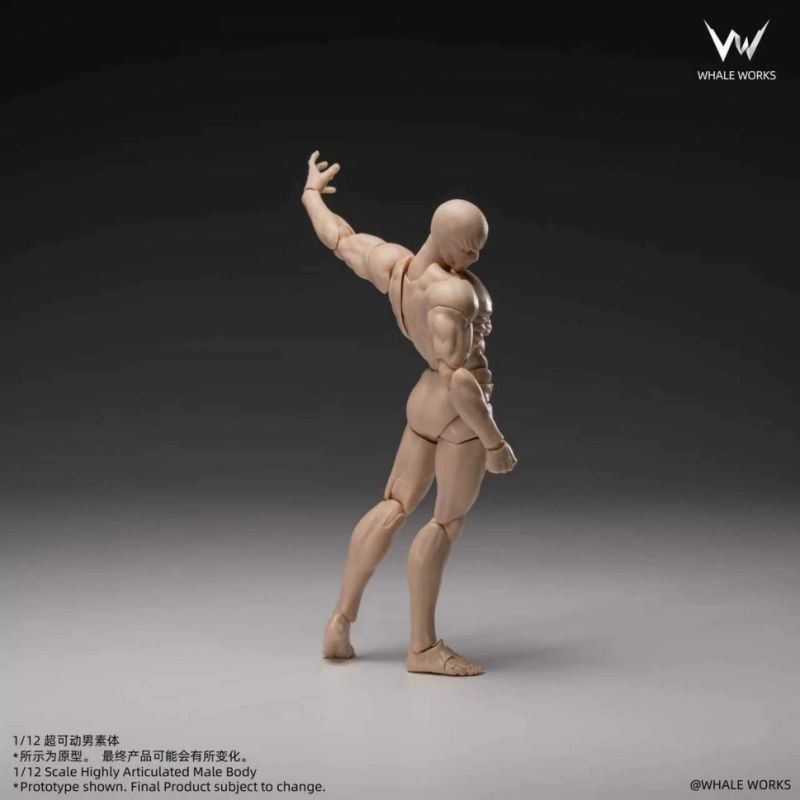 [Pre-sale] WHALE WORKS Super-Poseable Male Body