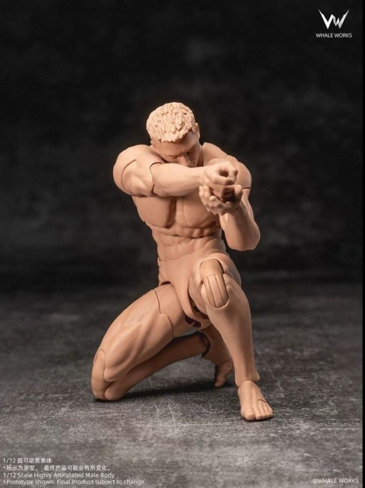 [Pre-sale] WHALE WORKS Super-Poseable Male Body