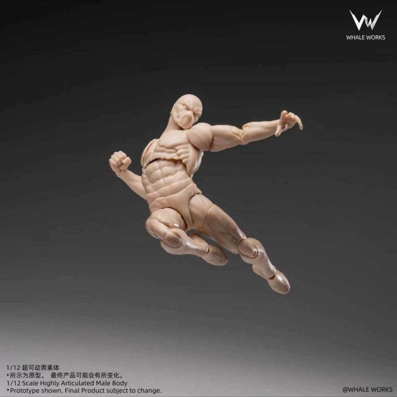 [Pre-sale] WHALE WORKS Super-Poseable Male Body