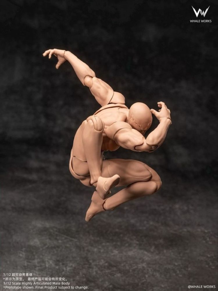 [Pre-sale] WHALE WORKS Super-Poseable Male Body