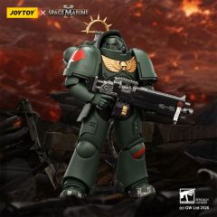 [In stock] JOYTOY Warhammer 40K Game Edition  Dark Angels Heavy Intercessor with Heavy Bolt Rifle and Bolt Pistol