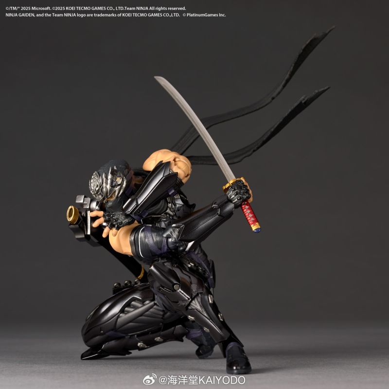 [Pre-sale] Kaiyodo Revoltech Amazing Yamaguchi Ryu Hayabusa NINJA ...