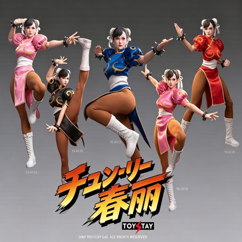 [Pre-sale] TOYSTAY TS-011A/B/C/D Kung Fu Girl Action Figure