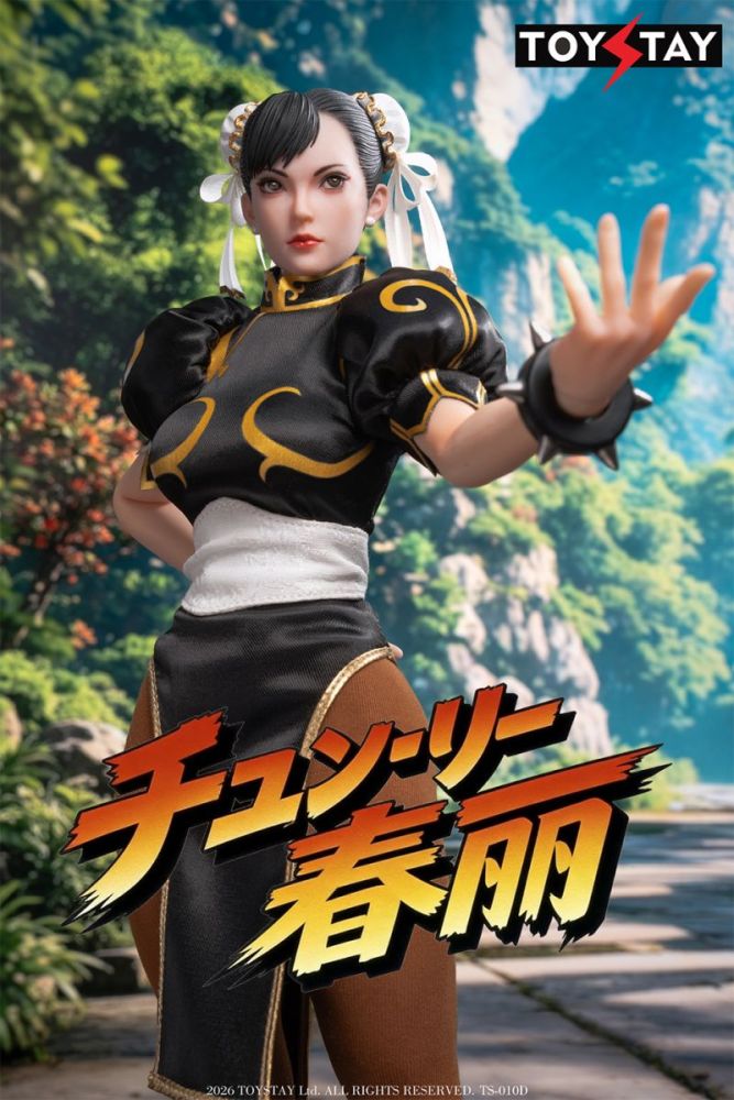 [Pre-sale] TOYSTAY TS-011A/B/C/D Kung Fu Girl Action Figure