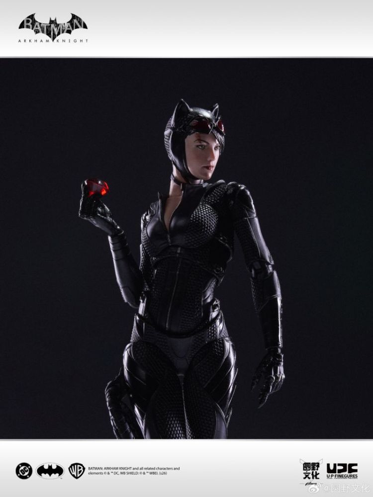 [Pre-sale] YuanYe Culture Toys x U-P-Finegures LPZZ Batman: Arkham Knight Catwoman Action Figure