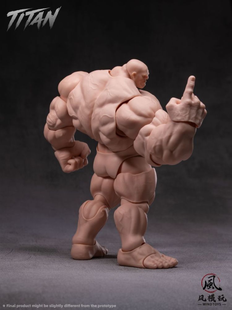 [Pre-sale] Wind toys Titan Action Figure