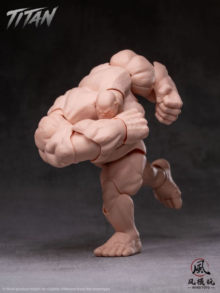 [Pre-sale] Wind toys Titan Action Figure