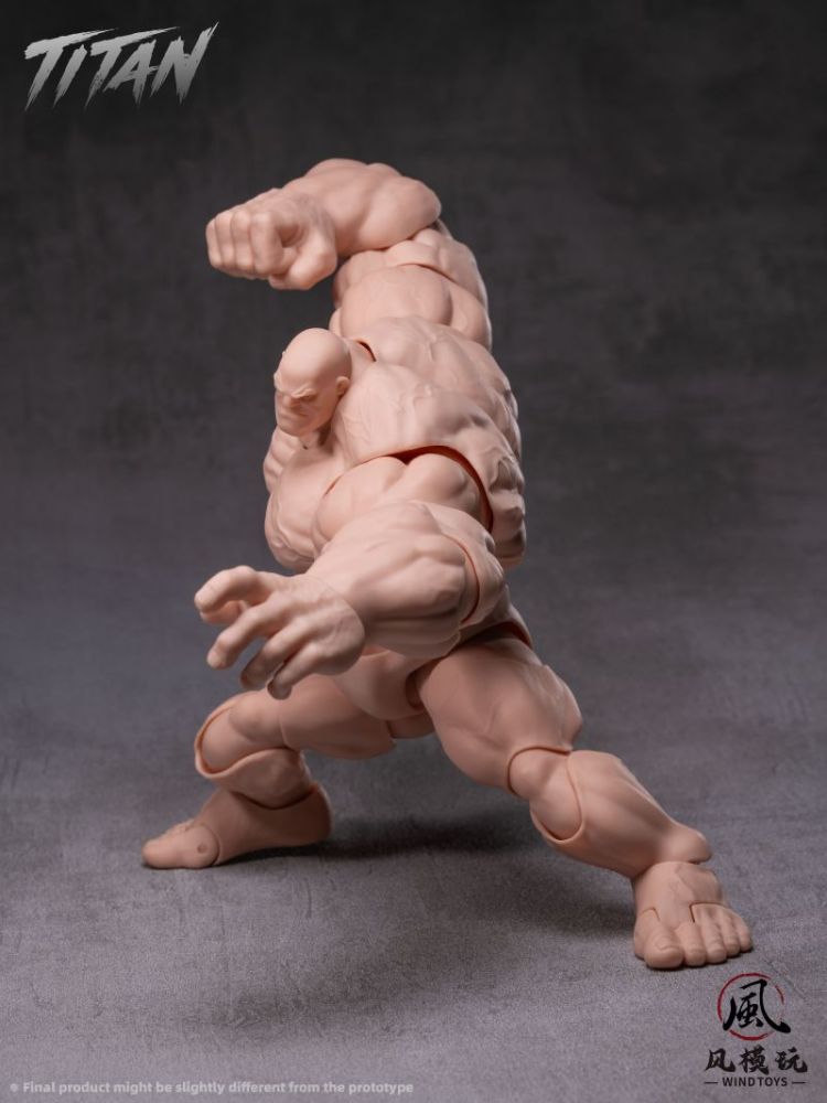 [Pre-sale] Wind toys Titan Action Figure