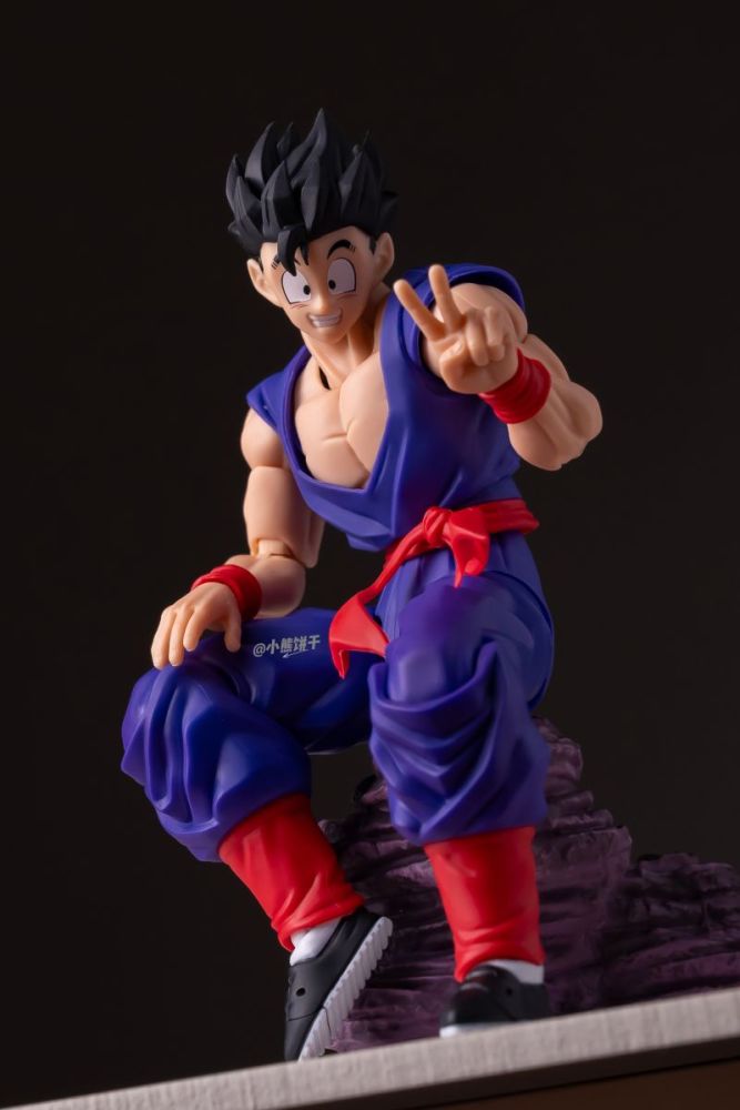 [Pre-sale] HA Toys Adult Gohan