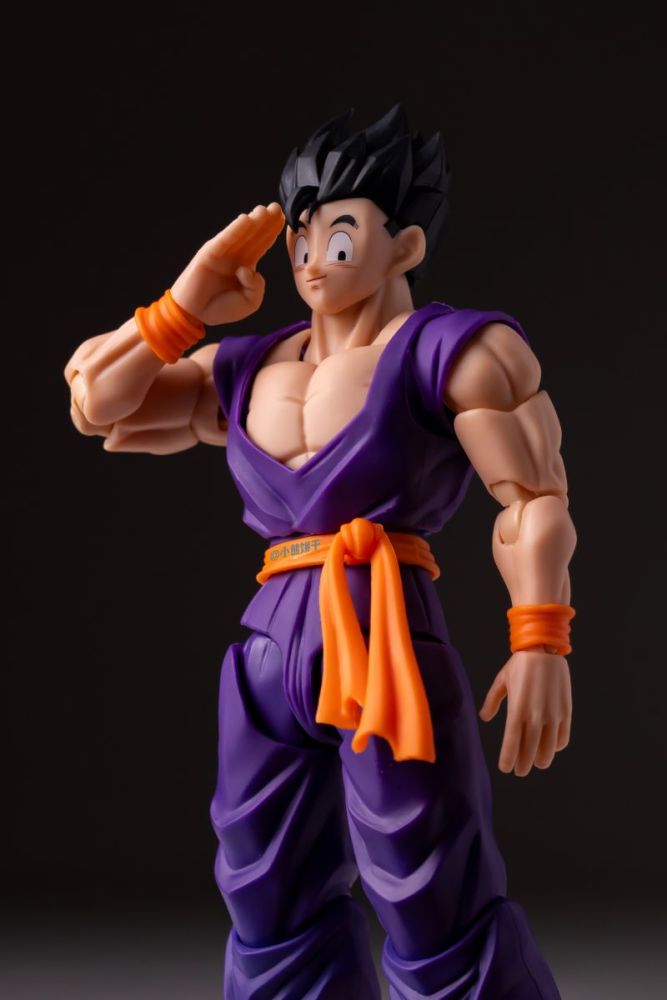 [Pre-sale] HA Toys Adult Gohan