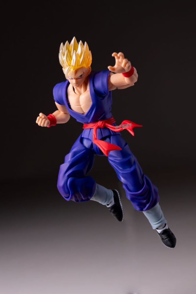 [Pre-sale] HA Toys Adult Gohan