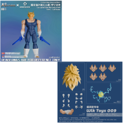 NS007