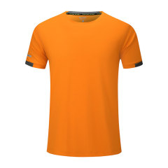 round collar solid color quick dry unisex sport tshirt team wear
