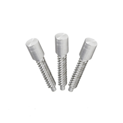 Custom Precision NC Turning parts-Aluminium tapered bolt