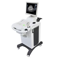 Black and White Full-Digital Ultrasound Scanner Trolley
