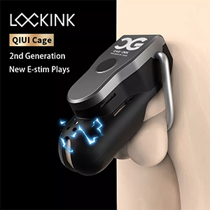 QIUI cellmate 2.0 chastity cage