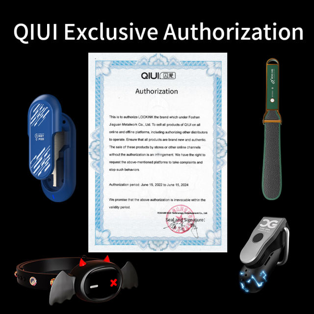 QIUI Bluetooth Key Holder Key Pod for Chastity Play