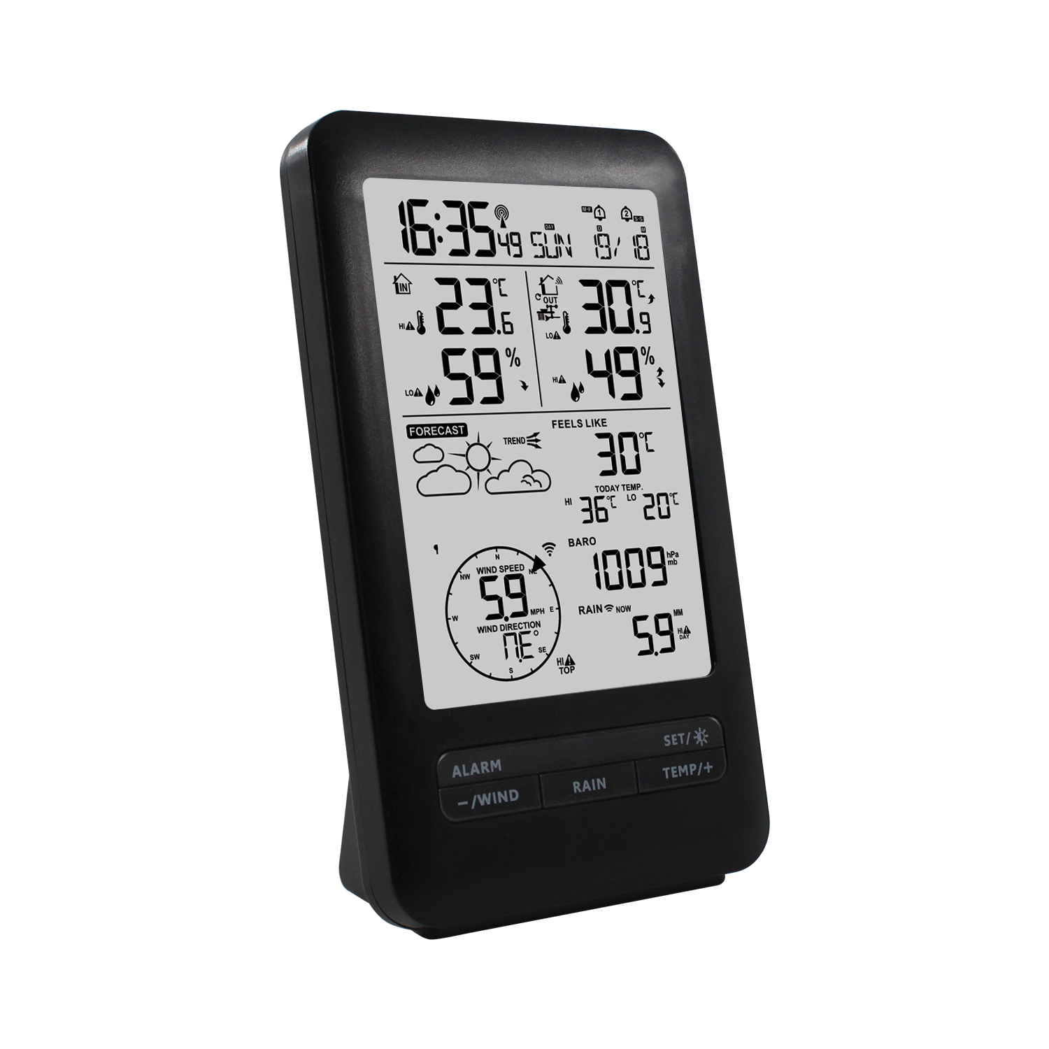 FJ3395E Professional Weather Station