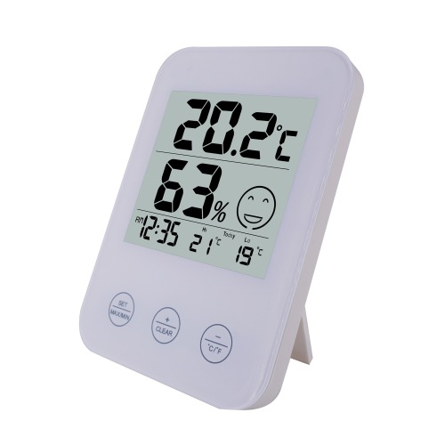 FJ718 Indoor Thermometer with Clock