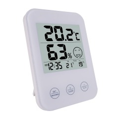 FJ718 Indoor Thermometer with Clock