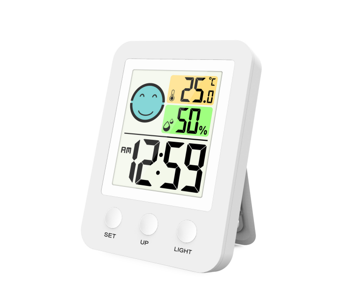 FJ746 Indoor Thermometer with Time