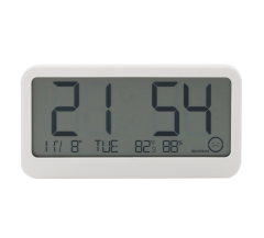 FJ762 Indoor Thermometer with Atomic Clock