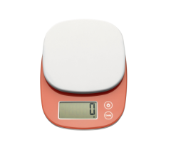 FJ2893 Digital Kitchen Scale