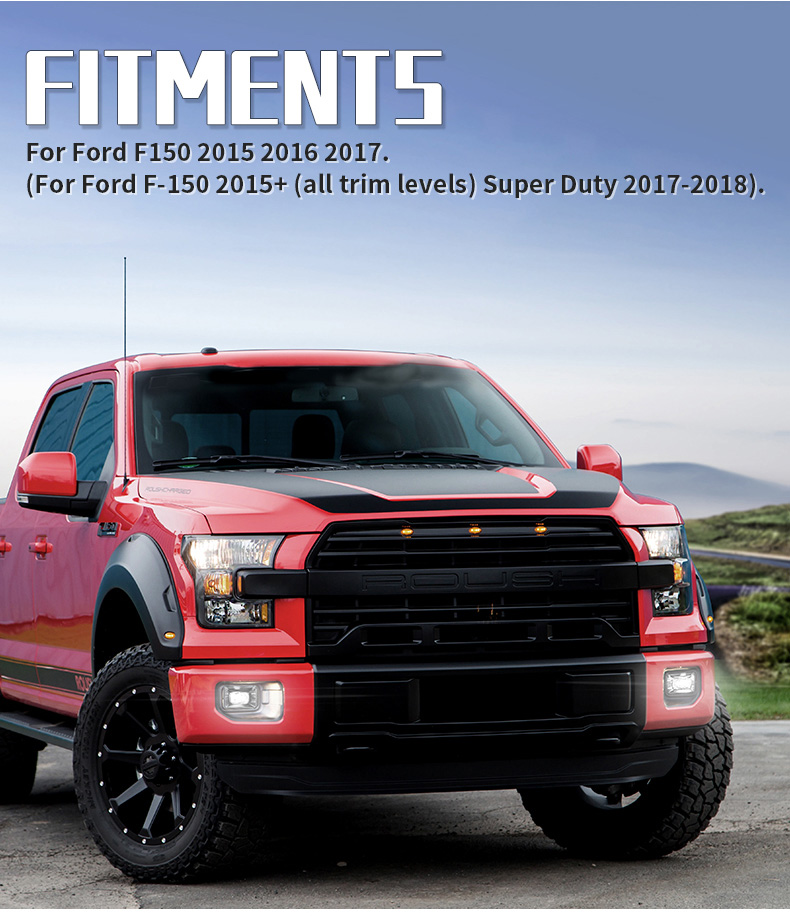 فورڊ F150A ليڊ فوگ لائيٽس فٽمنٽ