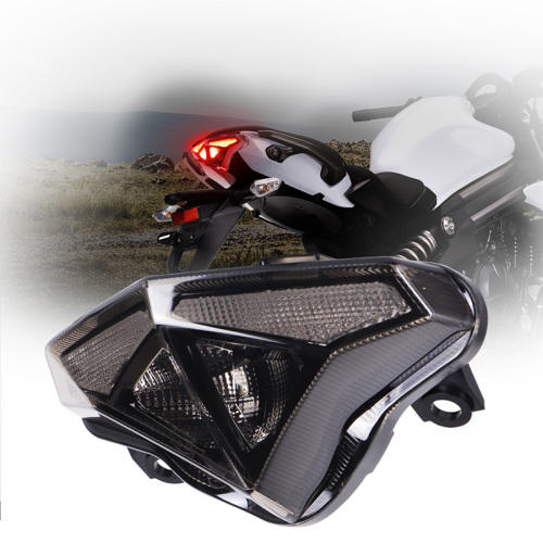 2012-2014 Kawasaki Ninja 650R ER-6N Led Tail Light Upgrade Conversion