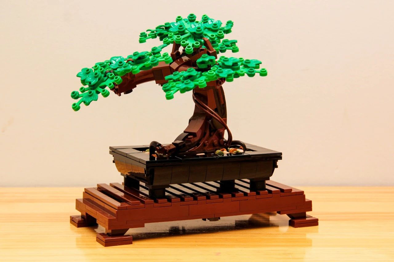 10281:Bonsai Tree Building Blocks By 14th Mar.2023.